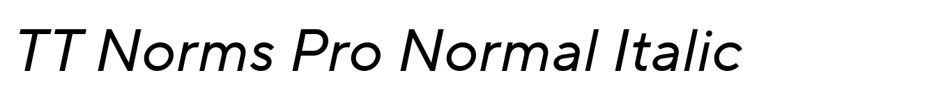TT Norms Pro Normal Italic